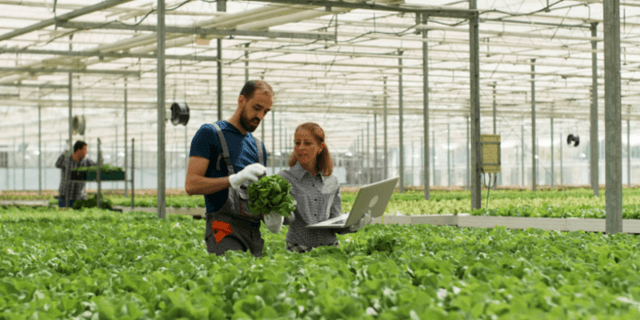 Goal 11: Green Manufacturing